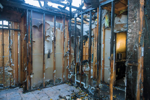 Professional Soot Removal technician working in Ferndale, WA
