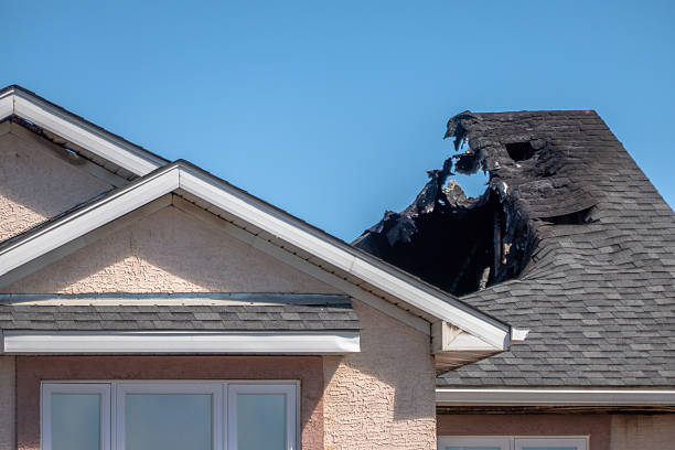 Top rated local Soot Removal specialists in Ferndale, WA